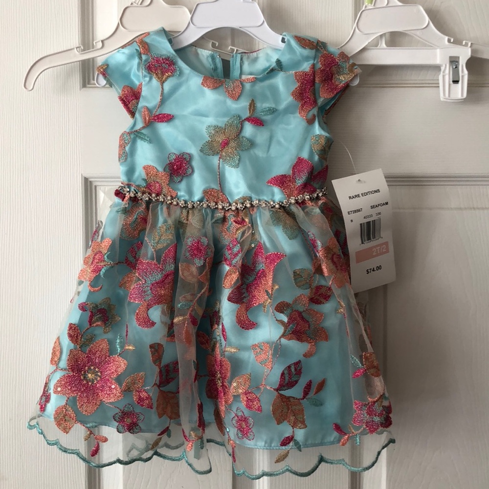 NWT Rare editions dress size 2t
